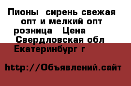 Пионы, сирень свежая, опт и мелкий опт, розница › Цена ­ 100 - Свердловская обл., Екатеринбург г.  »    